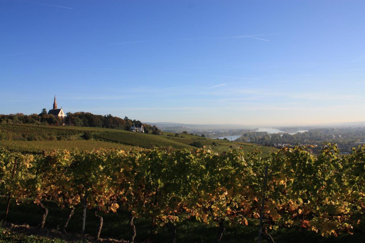Hotel Krone Bingen am Rhein Luaran gambar